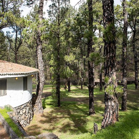 Vivienda Vacacional Finca La Redonda El Paso Exterior foto